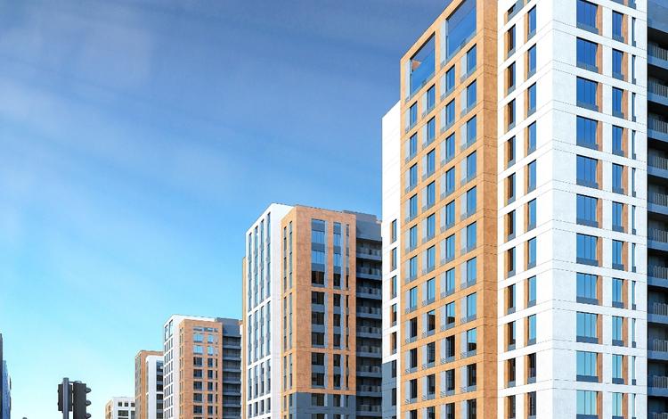 Жылан киски