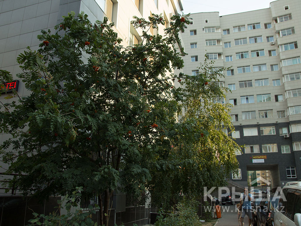 Фото ЖК 5