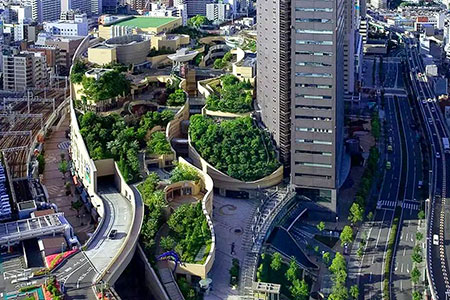 Сады на&nbsp;крышах домов предложили выращивать в&nbsp;Алматы