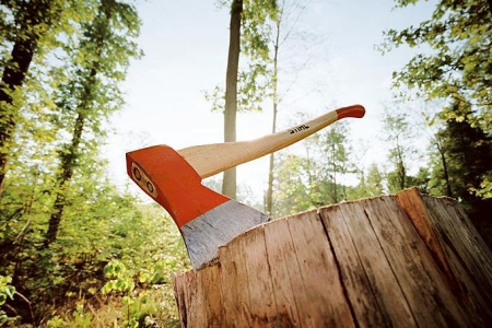 Как получить разрешение на снос деревьев в Алматы