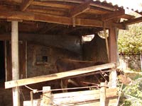 Если на соседнем участке разводят животных