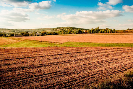 Иностранцам запретили покупать сельхозземли в&nbsp;РК