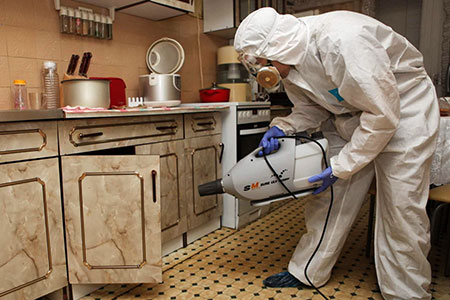 Как безопасно избавиться от тараканов и клопов