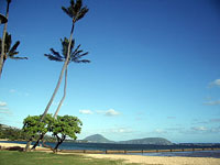 Японский миллиардер сдал свои особняки бедным гавайцам