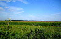 "При изъятии земельных участков нельзя нарушать последовательность действий"