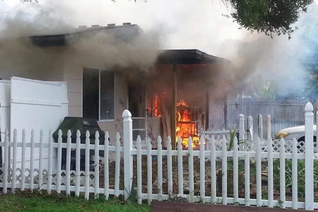 Фотография