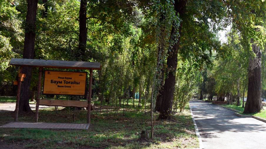 Как изменится роща Баума