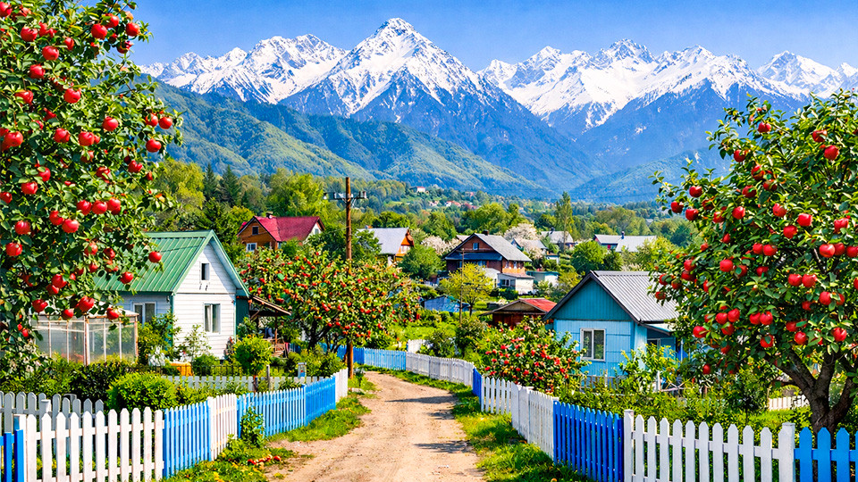 Какие дачи присоединят к городам и сёлам в Алматинской области
