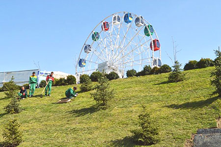 Фотография