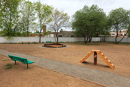 В Астане проектируют первую площадку для выгула собак