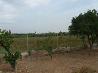 Земельные участки начнут распределять в апреле-мае