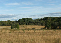 Неиспользуемые участки вокруг Алматы вернут государству