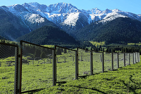 Активисты потребовали запретить аренду участков в нацпарках