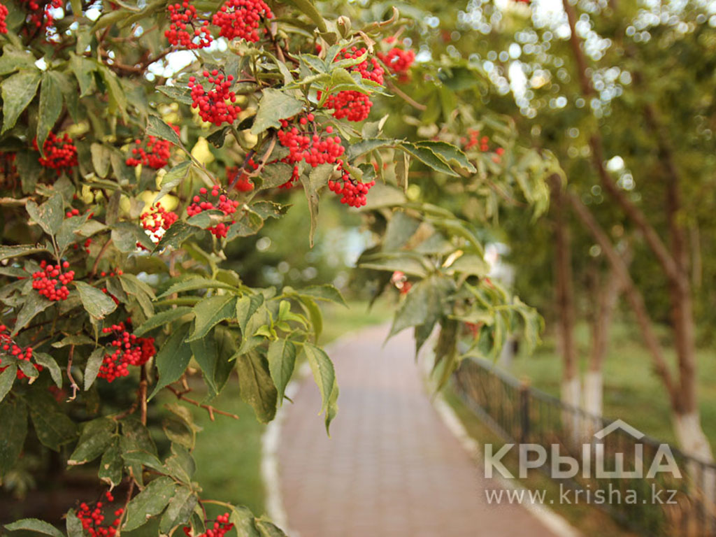 Фото ЖК 9