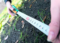 В&nbsp;Алмалинском районе выкупают участки