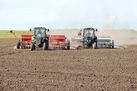 Казахстан увеличил срок аренды земель для иностранцев до 25 лет