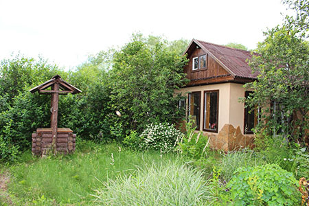 Фотография