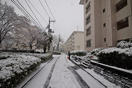 Грабли, мётлы и лопаты пока не понадобятся