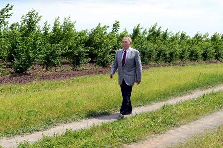 Зелёный пояс вокруг Астаны предлагают назвать «Елбасы орманы»