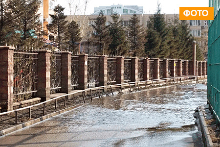 Фотография