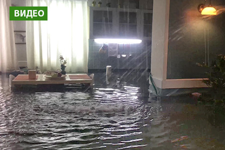 Шокирующие кадры потопа в&nbsp;квартире появились в&nbsp;Сети