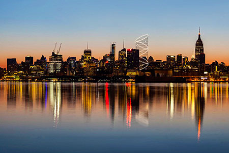 Самый высокий аттракцион в мире построят в&nbsp;Нью-Йорке