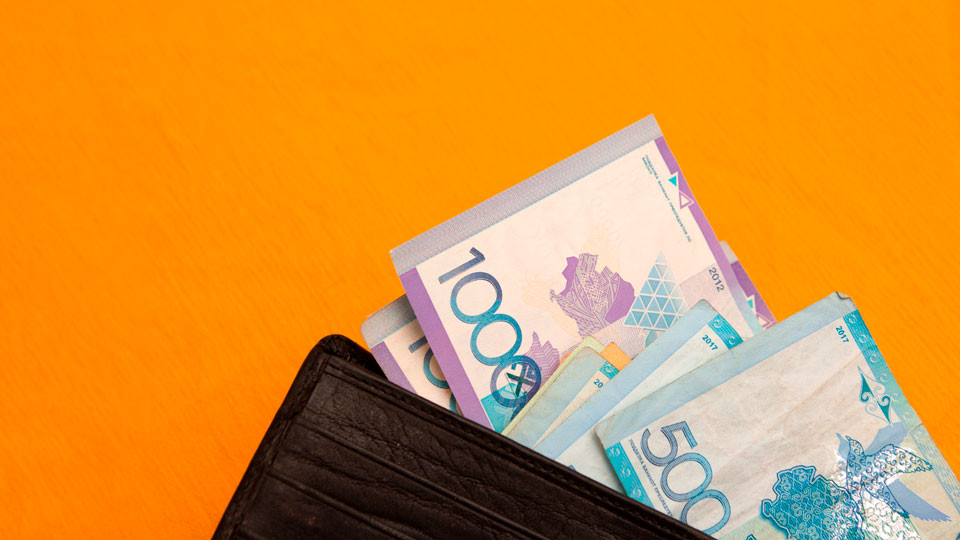 Пострадавшим от паводков выплатят по 100 МРП