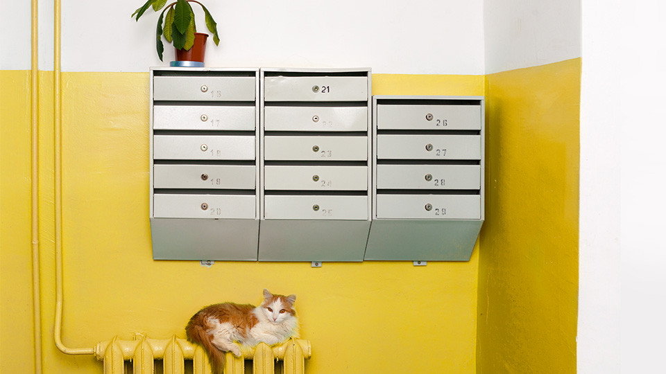 Фотография