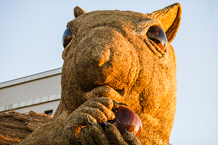 Гигантскую белку в&nbsp;Алматы занесли в&nbsp;казахстанскую Книгу&nbsp;рекордов