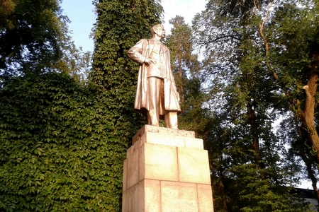 Фотография