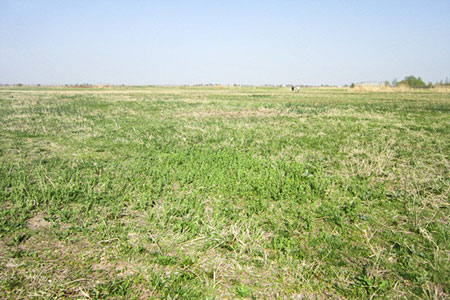 Б. Байбек: Основная проблема Алматы — «золотая» земля