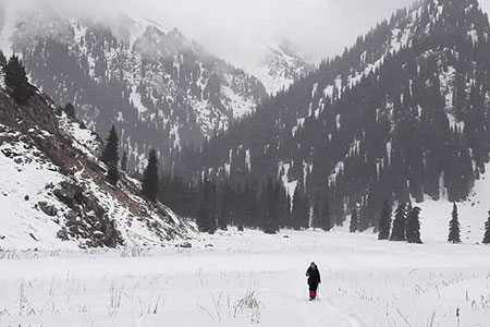 Билеты в&nbsp;Иле-Алатауский парк подешевели