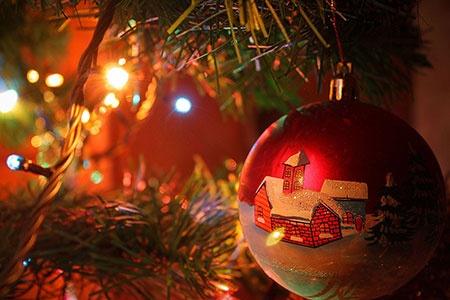 Фотография