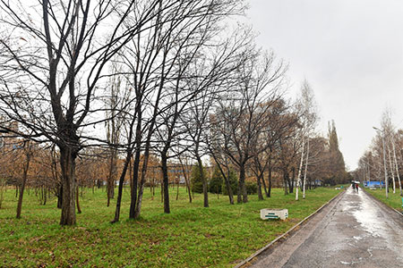 В парке «Южный» не будут строить жилой комплекс