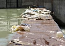 Купание запрещено!