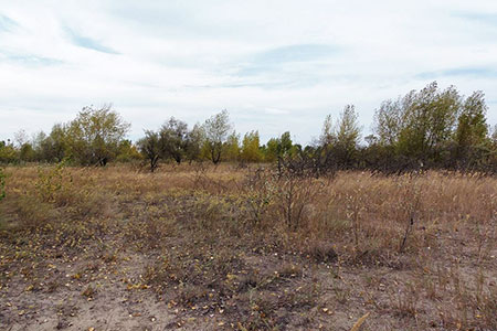 В Алматы выявлено более двух тысяч неиспользуемых участков