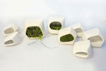 В&nbsp;Европе научились добывать электроэнергию из&nbsp;мха