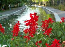 Малая Алматинка: когда «включат» воду?