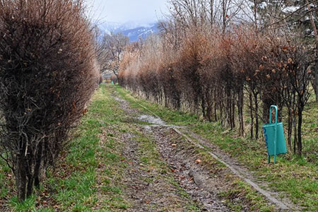 Что станет с парком «Южный» в Алматы