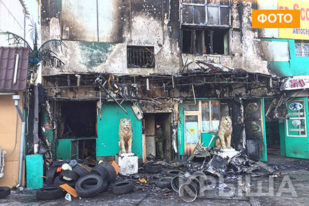 Фотография