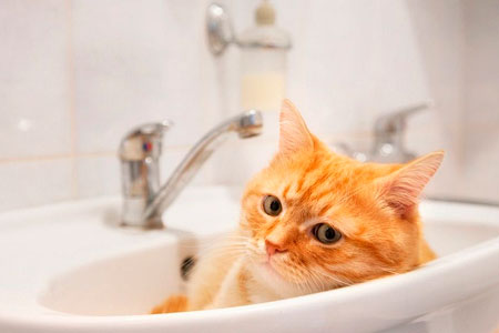 В части Алматы не будет горячей воды до конца месяца