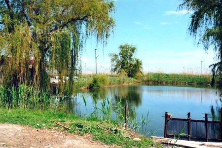 Мечту рыбака продают за $3.5 миллиона