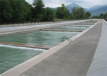 В Алматы чистят русла рек