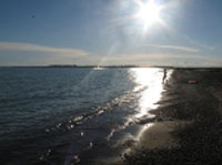 Глава государства предлагает инвесторам строить на Балхаше оздоровительные комплексы