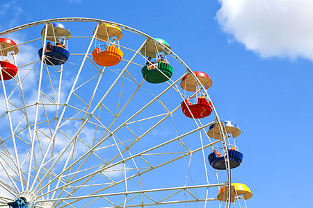 Фотография