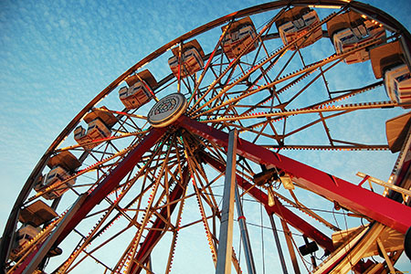 Фотография