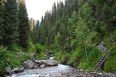 Въезд на территорию Иле-Алатауского парка станет платным для всех с 1 мая