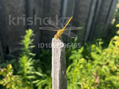 Дача · 2 комнаты · 10 м² · 6 сот., Усолка — В сторону Кенжеколя за 4 млн 〒 в Павлодаре