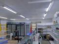Продуктовый магазин · 110 м², бағасы: 70 млн ₸ в Алтае — фото 2