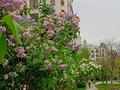 3-комнатная квартира · 132 м² · 1/6 этаж, мкр Мирас, Мкр. Мирас — !! Потолок 3,4 метра!!! Школа Бобек, и школа для одаренных за 135 млн ₸ в Алматы, Бостандыкский р-н